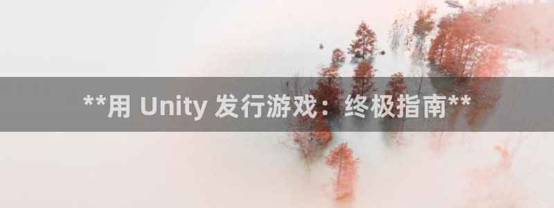 新城平台线路登录不上去：**用 Unity 发行游戏：终极指南**