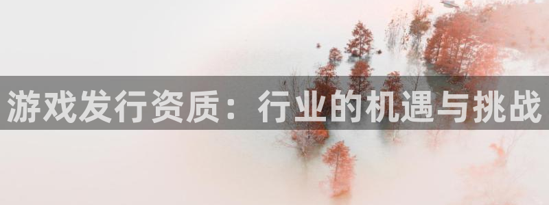 新城平台注册登录地址：游戏发行资质：行业的机遇与挑战