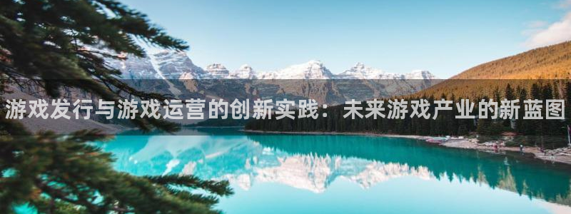 新城平台致7O777：游戏发行与游戏运营的创新实践：未来游戏产业的新蓝图