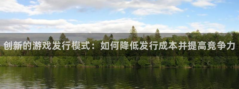 新城平台是干嘛的公司：创新的游戏发行模式：如何降低发行成本并提高竞争力