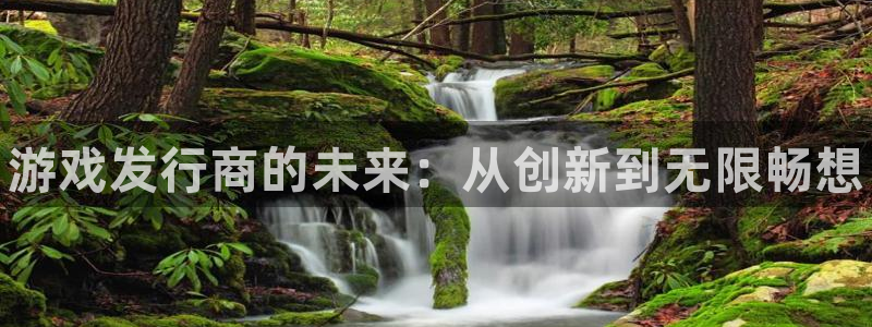 新城平台房7O777：游戏发行商的未来：从创新到无限畅想