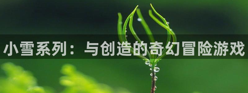 新城平台是干嘛的：小雪系列：与创造的奇幻冒险游戏