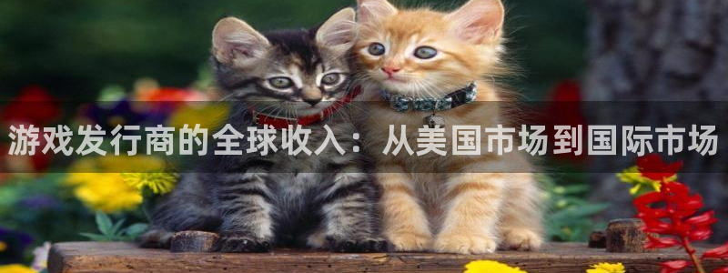 新城平台官网首页登录：游戏发行商的全球收入：从美国市场到国际市场