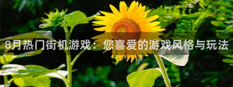 新城平台注册公司流程图：8月热门街机游戏：您喜爱的游戏风格与玩法