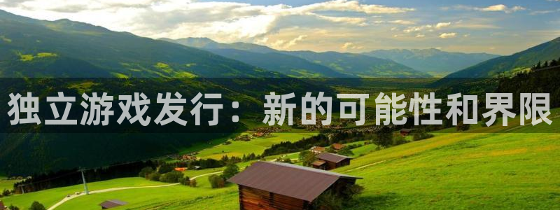 新城平台注册：独立游戏发行：新的可能性和界限