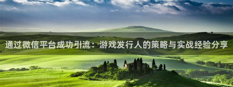 新城平台线路登录不上去了：通过微信平台成功引流：游戏发行人的策略与实战经验分享