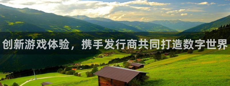 新城平台企业信息查询：创新游戏体验，携手发行商共同打造数字世界