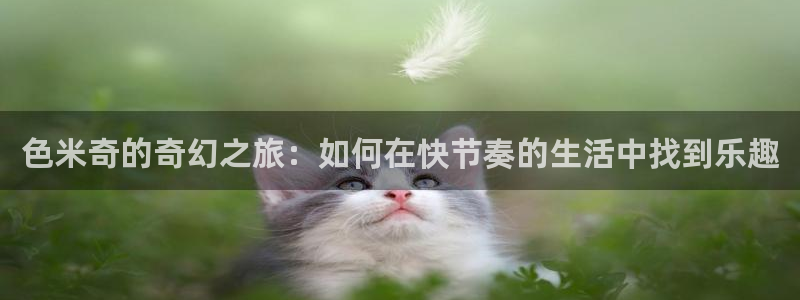 三妹影院免费观看：色米奇的奇幻之旅：如何在快节奏的生活中找到乐趣