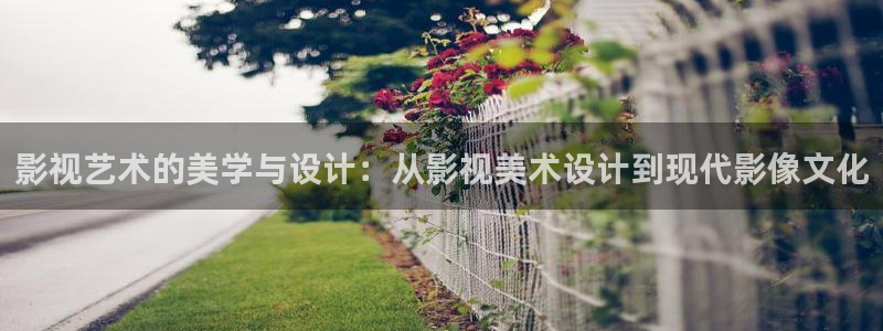 三妹影院：影视艺术的美学与设计：从影视美术设计到现代影像文化