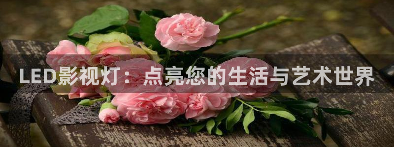 三妹影院在线：LED影视灯：点亮您的生活与艺术世界