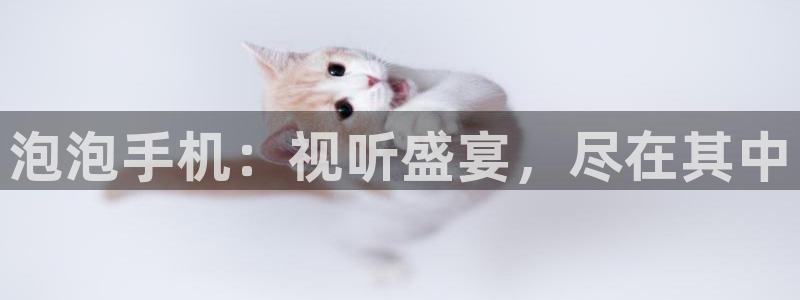 三妹影院在线观看：泡泡手机：视听盛宴，尽在其中