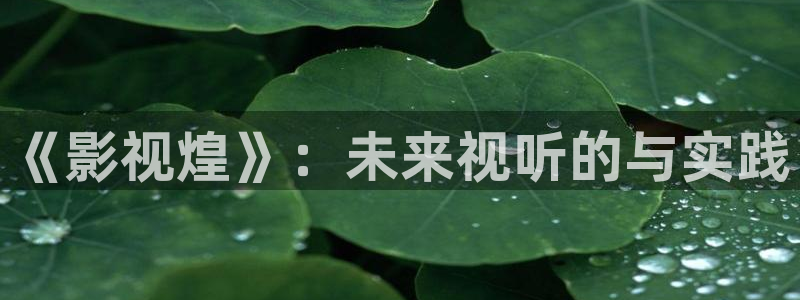 三妹影院：《影视煌》：未来视听的与实践