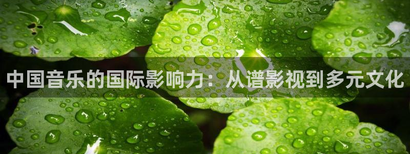 三妹影院在线：中国音乐的国际影响力：从谱影视到多元文化