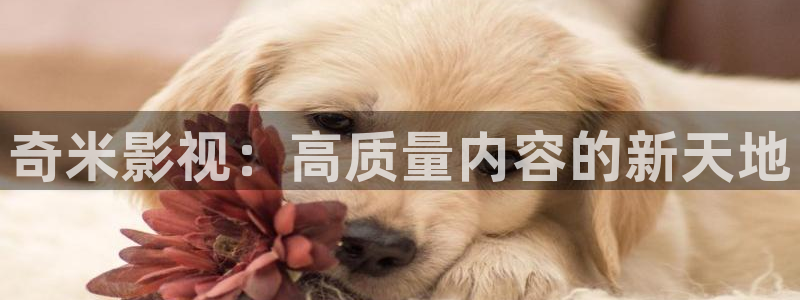 三妹影院在线观看：奇米影视：高质量内容的新天地